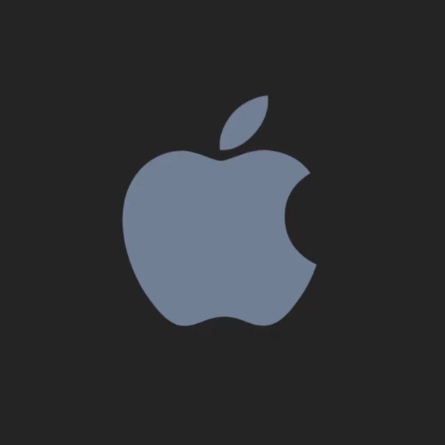 美国区Apple ID  租用1小时 1元   可下载App